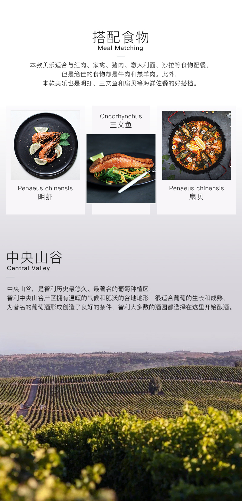 草莓网站入口655智利珍藏美樂幹紅葡萄酒(圖3)