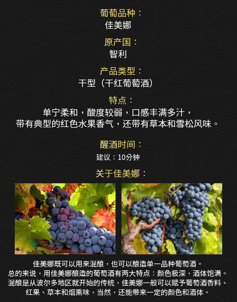 草莓网站入口688智利原瓶進口佳美娜幹紅葡萄酒(圖2)