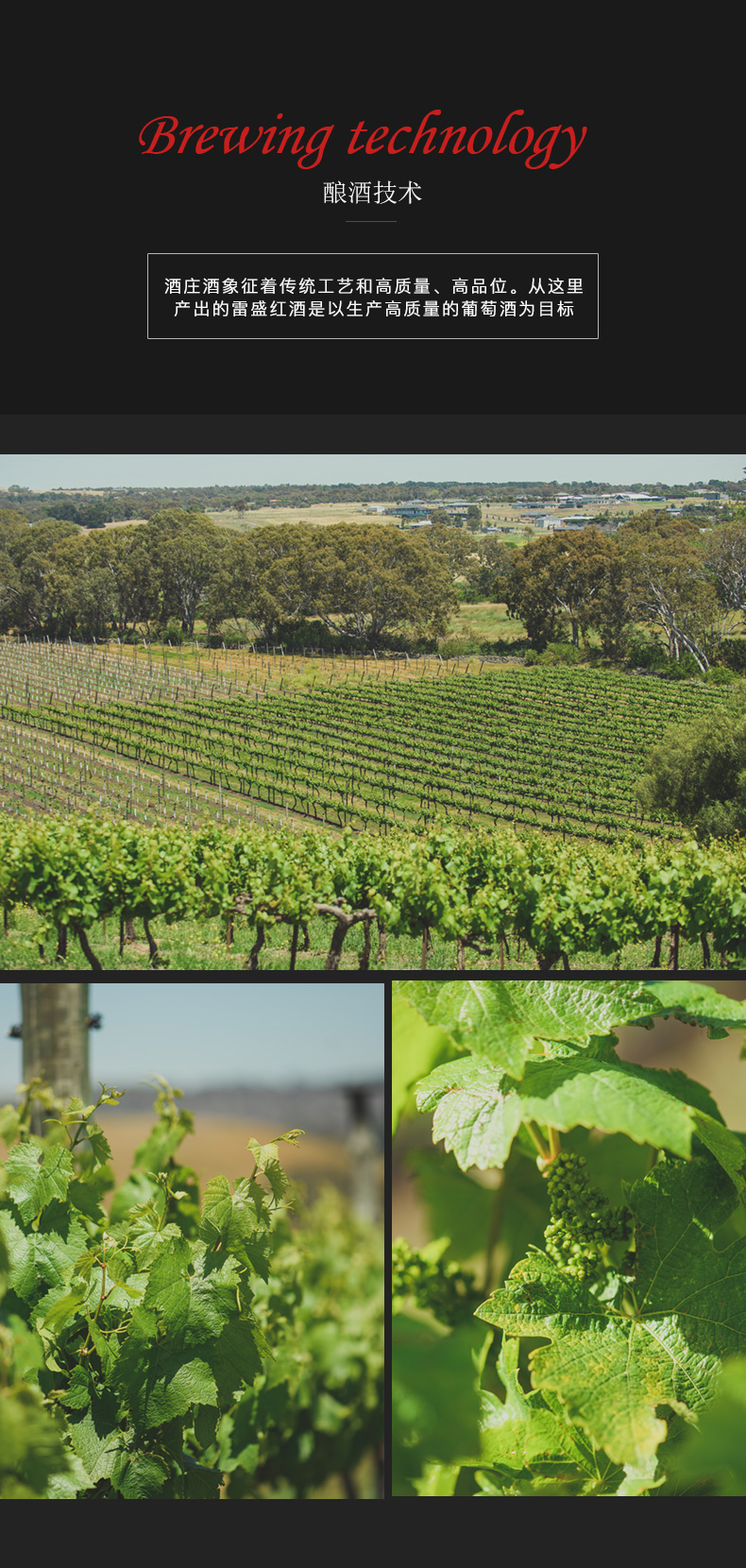 草莓网站入口紅酒101號 澳洲原裝原瓶進口(圖6)