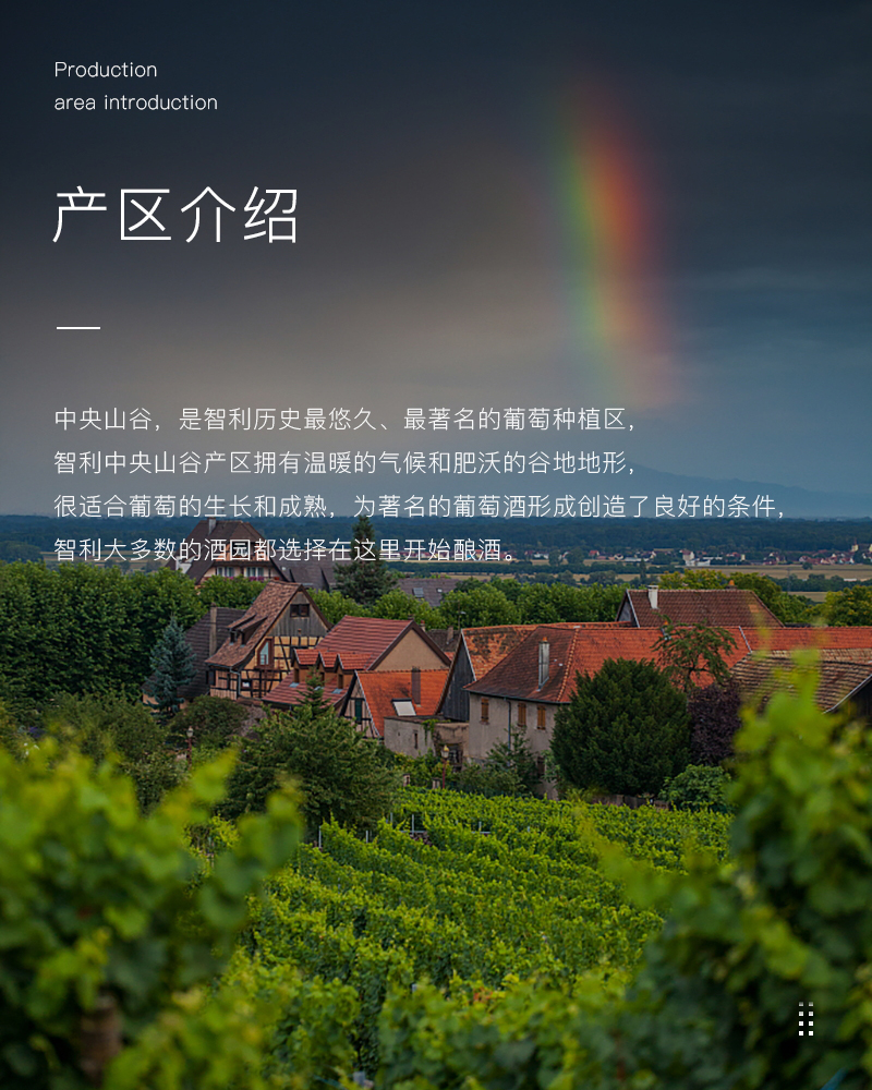 草莓网站入口紅酒429智利進口美露幹紅葡萄酒(圖3)