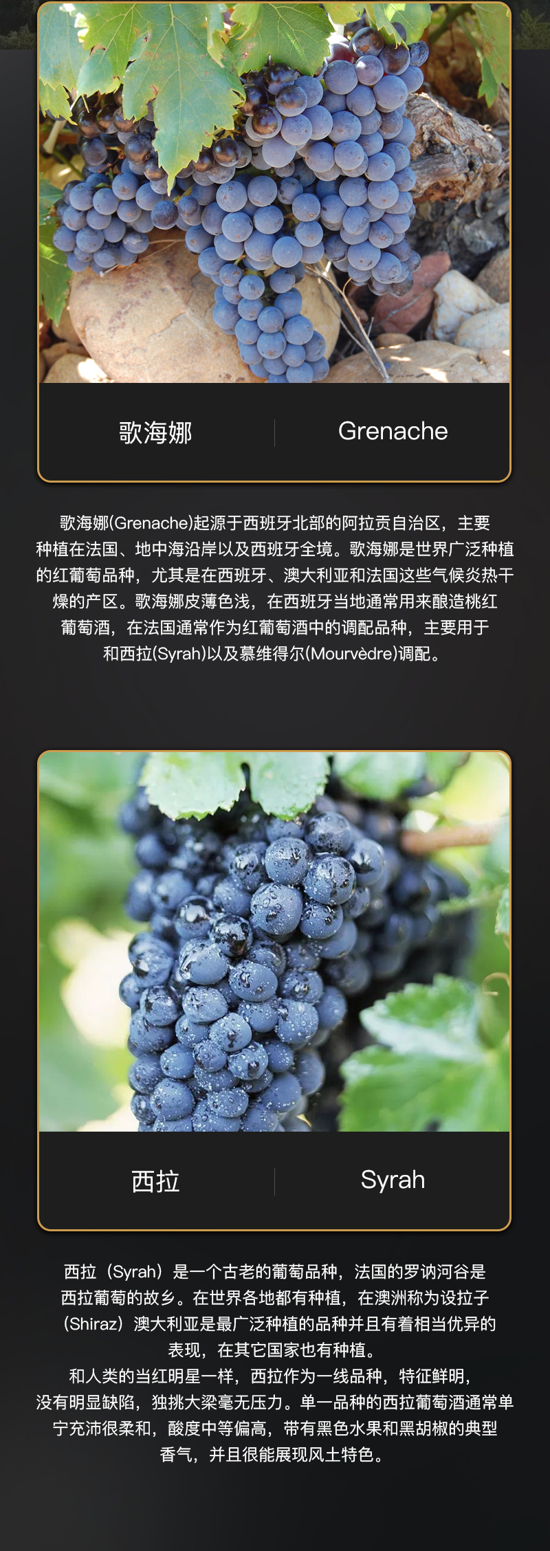 草莓网站入口紅酒818法國豪華AOC幹紅葡萄酒(圖4)